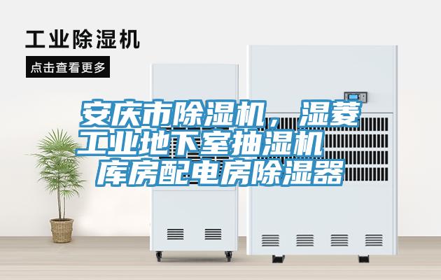 安慶市除濕機，濕菱工業(yè)地下室抽濕機  庫房配電房除濕器