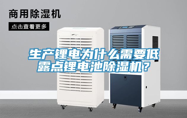 生產(chǎn)鋰電為什么需要低露點鋰電池除濕機(jī)？