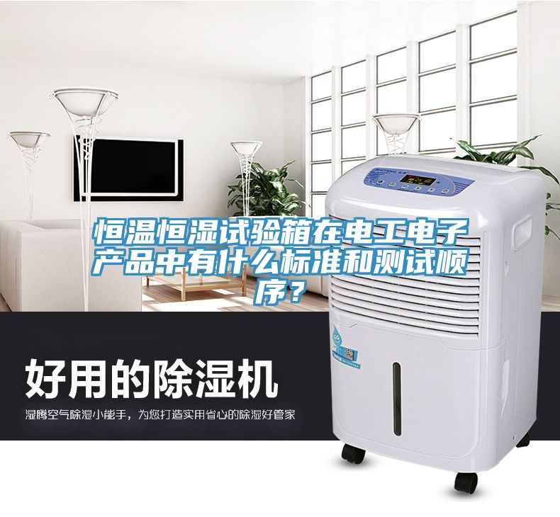 恒溫恒濕試驗箱在電工電子產(chǎn)品中有什么標(biāo)準(zhǔn)和測試順序？