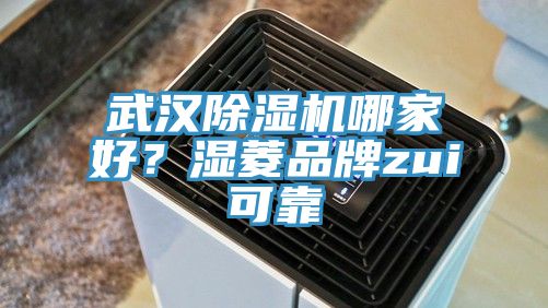 武漢除濕機哪家好？濕菱品牌zui可靠