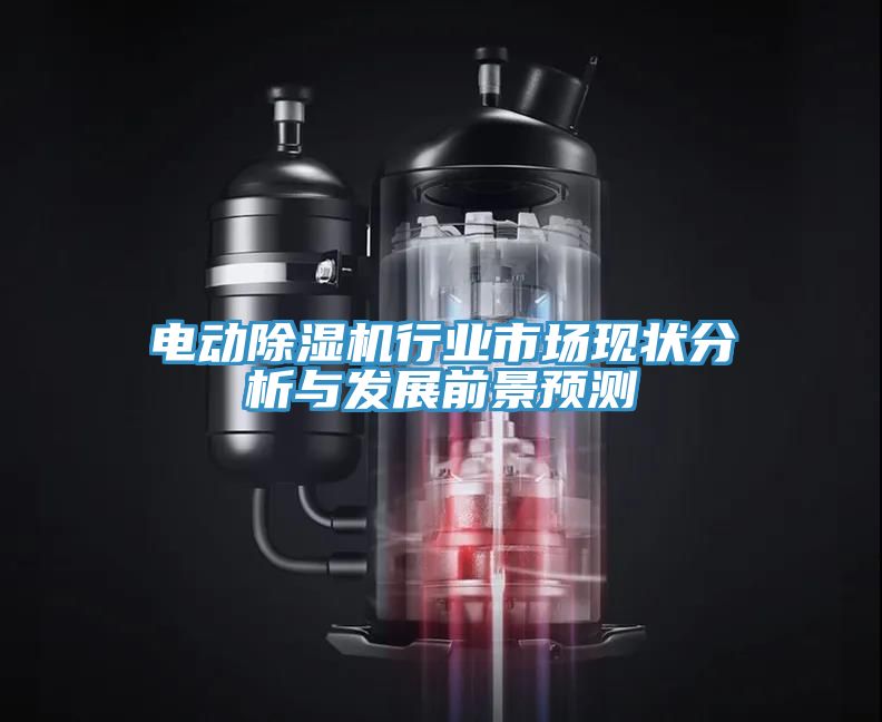 電動除濕機行業(yè)市場現狀分析與發(fā)展前景預測