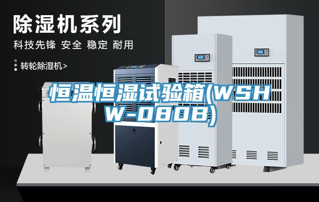 恒溫恒濕試驗箱(WSHW-080B)