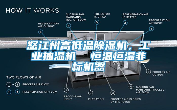 怒江州高低溫除濕機(jī)，工業(yè)抽濕機(jī)  恒溫恒濕非標(biāo)機(jī)器