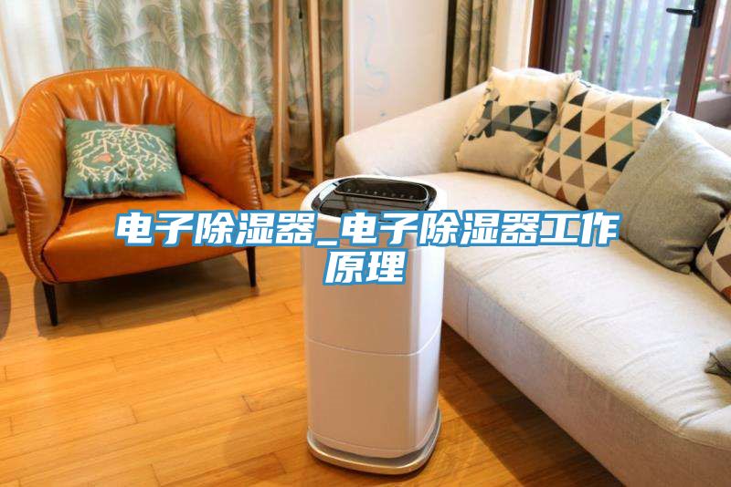 電子除濕器_電子除濕器工作原理