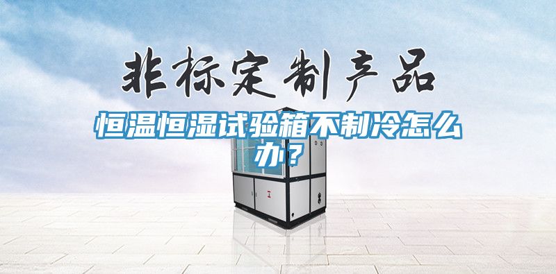 恒溫恒濕試驗(yàn)箱不制冷怎么辦？