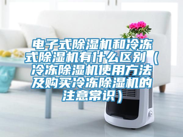 電子式除濕機和冷凍式除濕機有什么區(qū)別（冷凍除濕機使用方法及購買冷凍除濕機的注意常識）