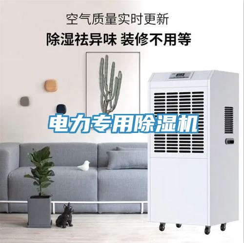 電力專用除濕機(jī)