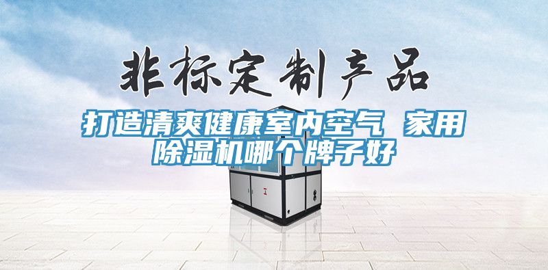 打造清爽健康室內(nèi)空氣 家用除濕機(jī)哪個(gè)牌子好