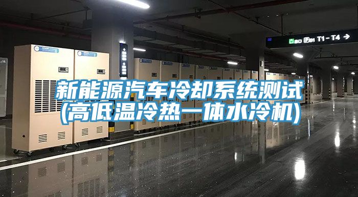 新能源汽車冷卻系統(tǒng)測試(高低溫冷熱一體水冷機)