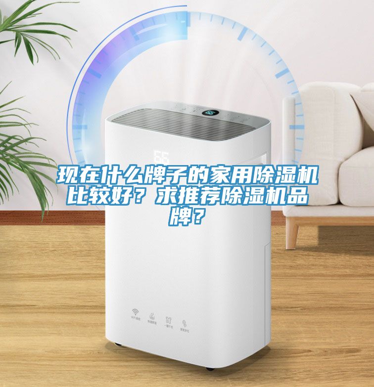 現(xiàn)在什么牌子的家用除濕機比較好？求推薦除濕機品牌？