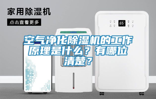 空氣凈化除濕機的工作原理是什么？有哪位清楚？