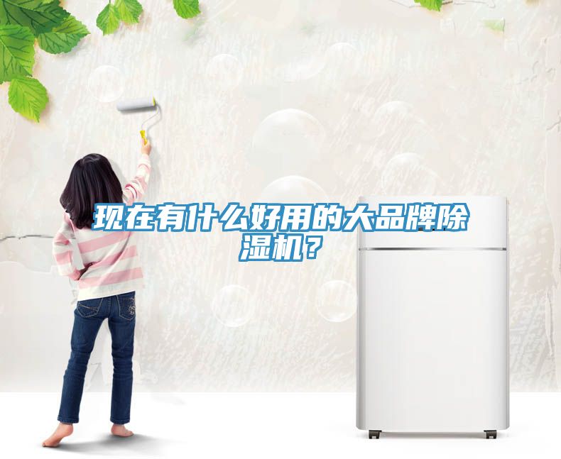 現(xiàn)在有什么好用的大品牌除濕機(jī)？