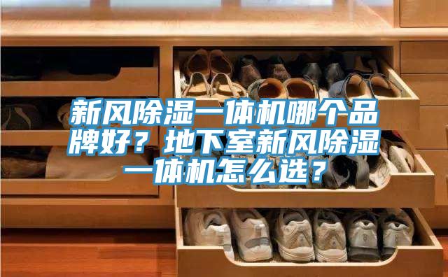 新風除濕一體機哪個品牌好？地下室新風除濕一體機怎么選？