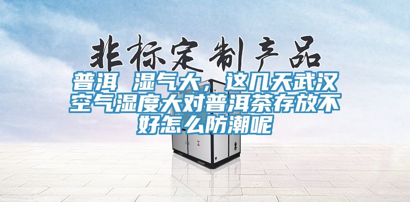 普洱 濕氣大，這幾天武漢空氣濕度大對(duì)普洱茶存放不好怎么防潮呢