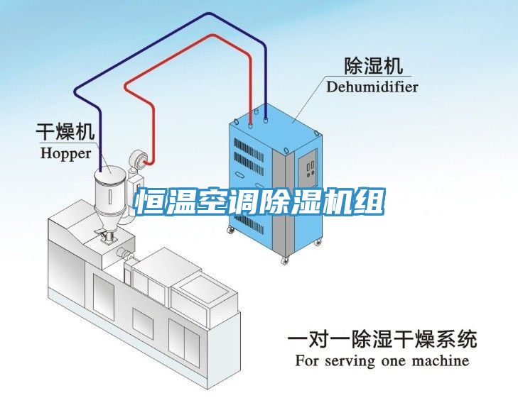 恒溫空調(diào)除濕機(jī)組