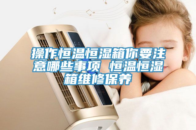 操作恒溫恒濕箱你要注意哪些事項 恒溫恒濕箱維修保養(yǎng)