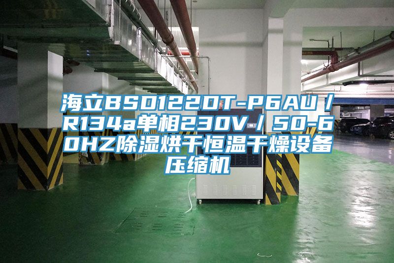 海立BSD122DT-P6AU／R134a單相230V／50-60HZ除濕烘干恒溫干燥設(shè)備壓縮機