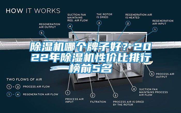 除濕機哪個牌子好？2022年除濕機性價比排行榜前5名