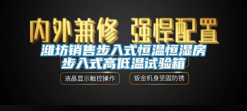 濰坊銷售步入式恒溫恒濕房步入式高低溫試驗箱