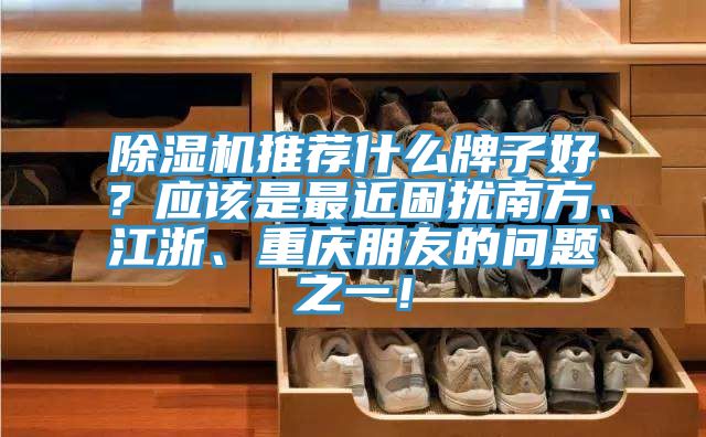 除濕機推薦什么牌子好？應(yīng)該是最近困擾南方、江浙、重慶朋友的問題之一！