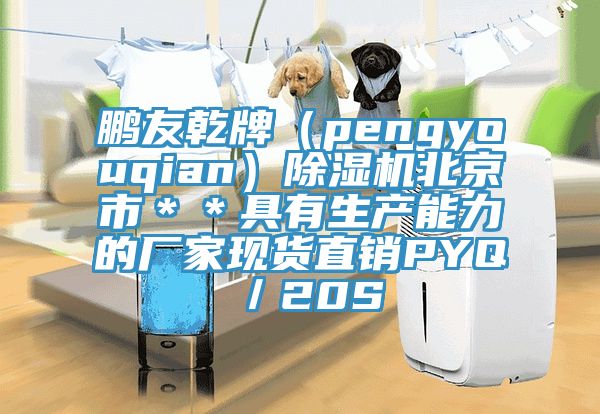 鵬友乾牌（pengyouqian）除濕機北京市＊＊具有生產能力的廠家現貨直銷PYQ／20S