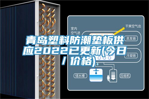 青島塑料防潮墊板供應(yīng)2022已更新(今日／價(jià)格)