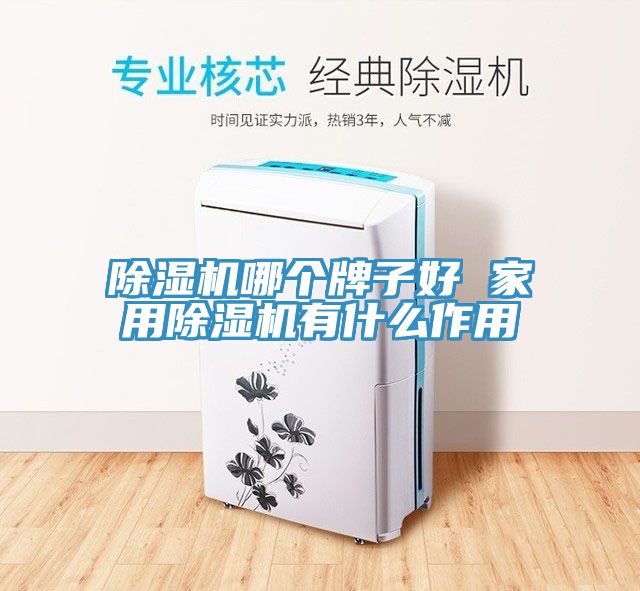 除濕機哪個牌子好 家用除濕機有什么作用