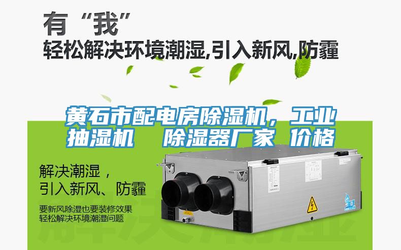 黃石市配電房除濕機，工業(yè)抽濕機  除濕器廠家 價格